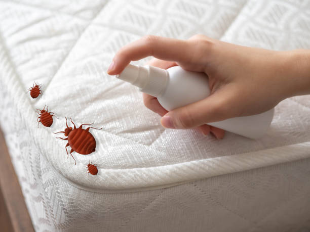 Best Local Pest Control Services  in Fair Lakes, VA